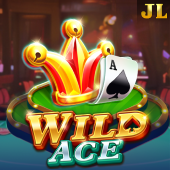 Wild Ace slot on 789h